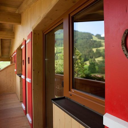 Zauchtaler Hof Otel Altenmarkt im Pongau Dış mekan fotoğraf