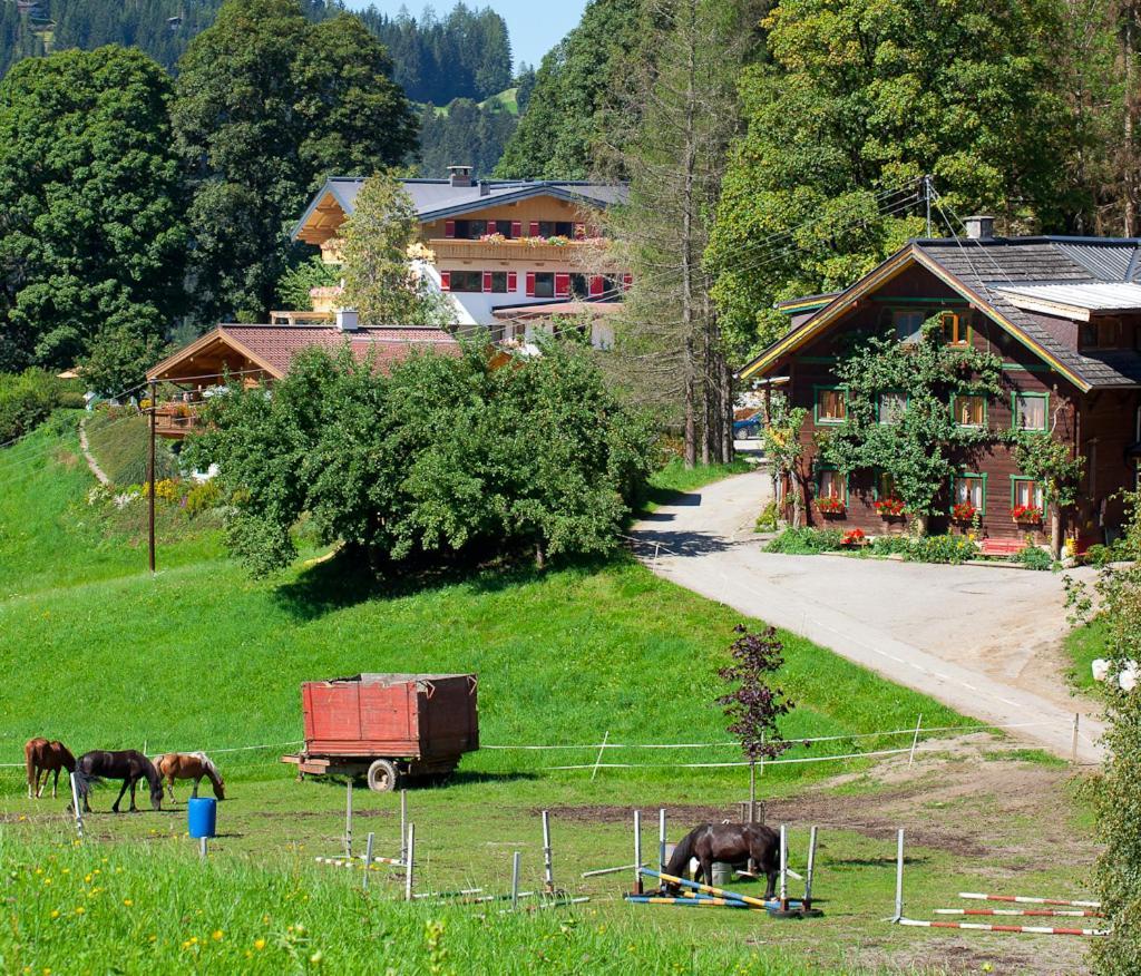 Zauchtaler Hof Otel Altenmarkt im Pongau Dış mekan fotoğraf