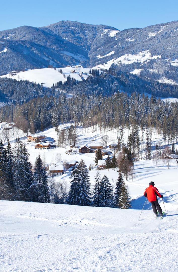 Zauchtaler Hof Otel Altenmarkt im Pongau Dış mekan fotoğraf
